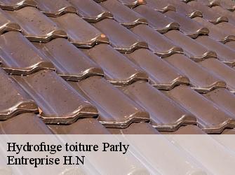 Hydrofuge toiture  78150