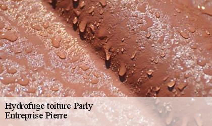 Hydrofuge toiture