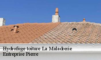 Hydrofuge toiture  la-maladrerie-78650 Entreprise Pierre