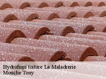 Hydrofuge toiture 78650