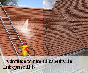 Hydrofuge toiture  elisabethville-78410 Entreprise H.N
