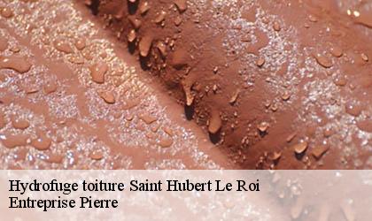 Hydrofuge toiture