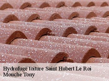 Hydrofuge toiture 78690