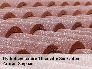 Hydrofuge toiture  78550