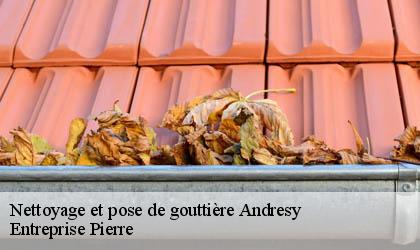 Nettoyage et pose de gouttière