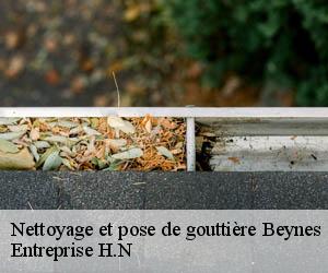 Nettoyage et pose de gouttière  beynes-78650 Entreprise H.N