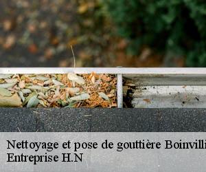 Nettoyage et pose de gouttière  boinvilliers-78200 Entreprise H.N