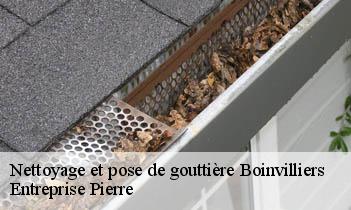 Nettoyage et pose de gouttière boinvilliers-78200 Entreprise Pierre