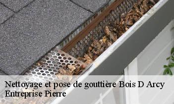 Nettoyage et pose de gouttière bois-d-arcy-78390 Entreprise Pierre