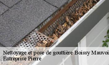 Nettoyage et pose de gouttière boissy-mauvoisin-78200 Entreprise Pierre