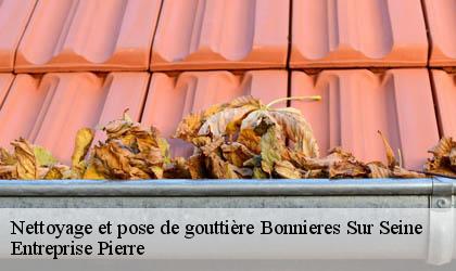 Nettoyage et pose de gouttière