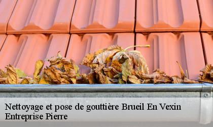 Nettoyage et pose de gouttière