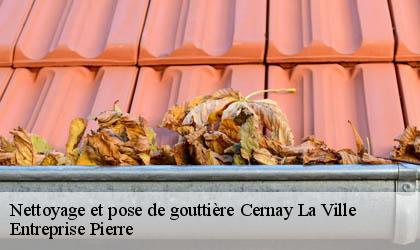 Nettoyage et pose de gouttière