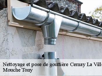 Nettoyage et pose de gouttière