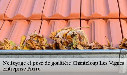 Nettoyage et pose de gouttière