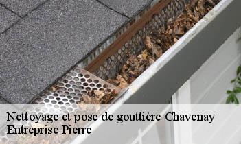 Nettoyage et pose de gouttière chavenay-78450 Entreprise Pierre