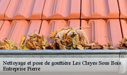 Nettoyage et pose de gouttière