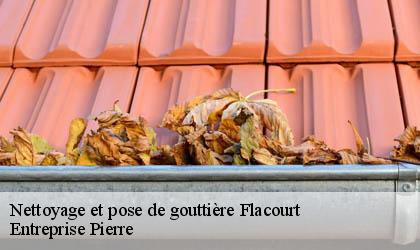 Nettoyage et pose de gouttière