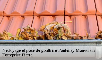 Nettoyage et pose de gouttière