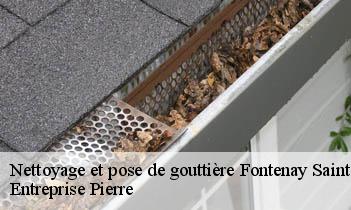 Nettoyage et pose de gouttière fontenay-saint-pere-78440 Entreprise Pierre