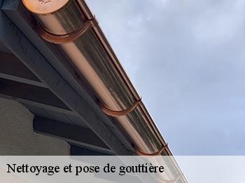 Nettoyage et pose de gouttière