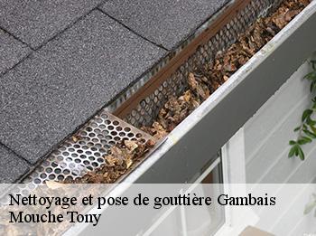 Nettoyage et pose de gouttière  gambais-78950 Mouche Tony