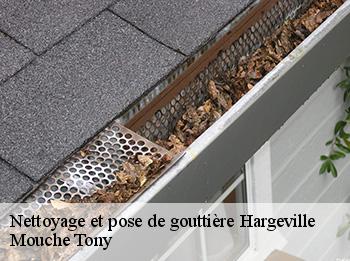 Nettoyage et pose de gouttière hargeville-78790 Mouche Tony