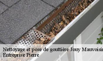 Nettoyage et pose de gouttière jouy-mauvoisin-78200 Entreprise Pierre