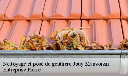 Nettoyage et pose de gouttière