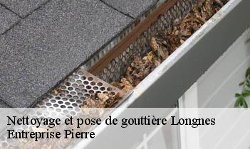 Nettoyage et pose de gouttière longnes-78980 Entreprise Pierre