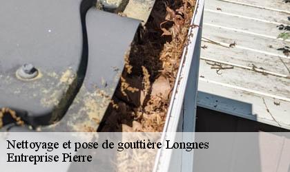 Nettoyage et pose de gouttière 78980