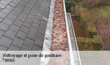 Nettoyage et pose de gouttière
