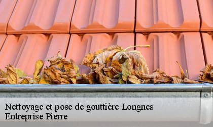 Nettoyage et pose de gouttière