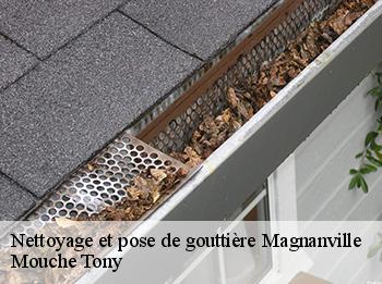 Nettoyage et pose de gouttière  magnanville-78200 Mouche Tony