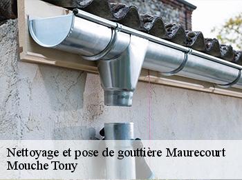 Nettoyage et pose de gouttière