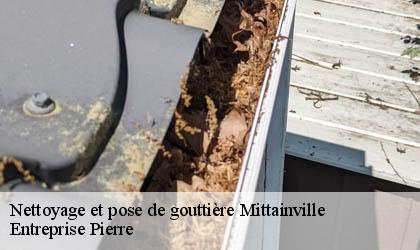 Nettoyage et pose de gouttière  78125