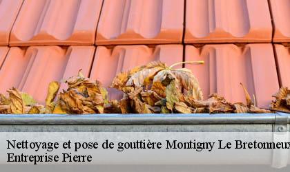 Nettoyage et pose de gouttière