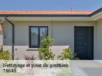 Nettoyage et pose de gouttière  78640