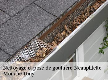Nettoyage et pose de gouttière  neauphlette-78980 Mouche Tony