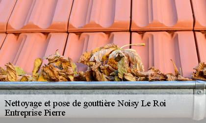 Nettoyage et pose de gouttière