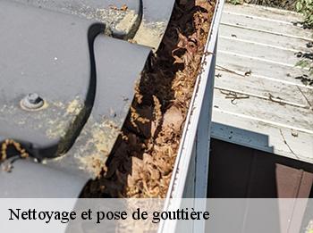 Nettoyage et pose de gouttière