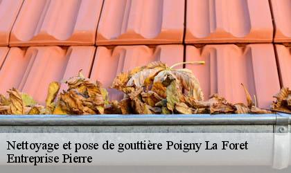 Nettoyage et pose de gouttière