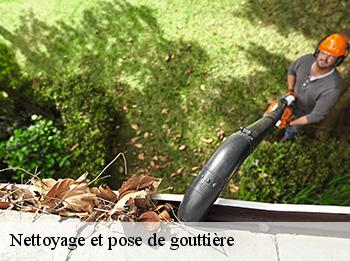 Nettoyage et pose de gouttière  78660