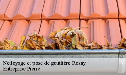 Nettoyage et pose de gouttière