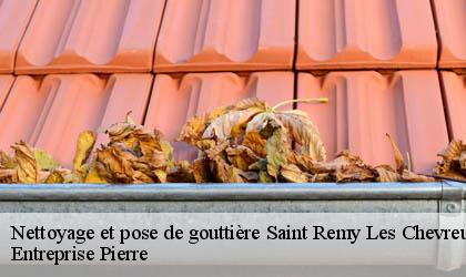 Nettoyage et pose de gouttière