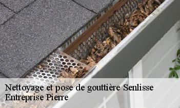 Nettoyage et pose de gouttière senlisse-78720 Entreprise Pierre