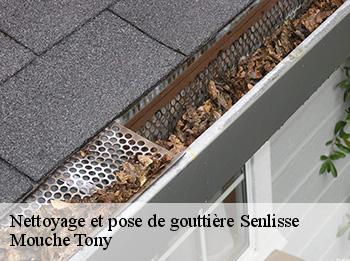 Nettoyage et pose de gouttière  senlisse-78720 Mouche Tony