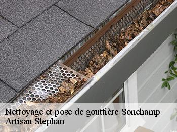 Nettoyage et pose de gouttière  sonchamp-78120 Artisan Stephan