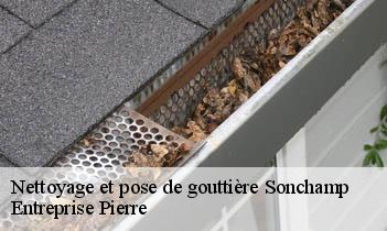 Nettoyage et pose de gouttière sonchamp-78120 Entreprise Pierre