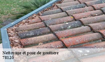 Nettoyage et pose de gouttière 78120
